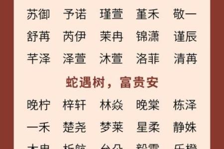 12月份出生的属蛇男孩起什么名字好呢姓名