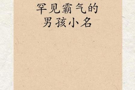 2019年3月27号寅时出生的男孩应该起什么样的名字姓名
