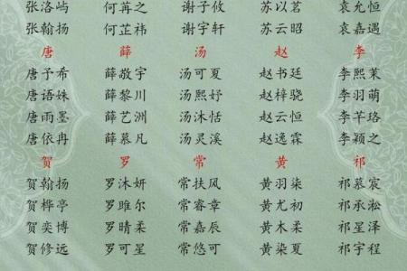 9月份出生的属蛇男孩应该要怎样取名字姓名