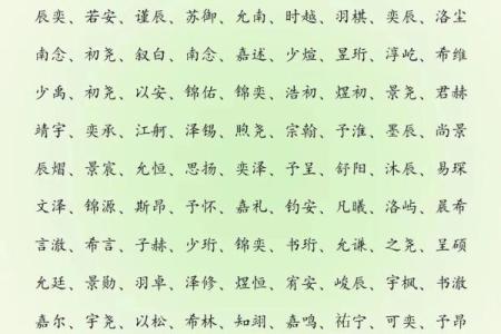 2019年6月13号子时出生的男孩起名方法姓名