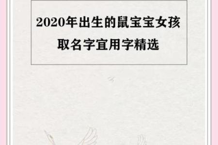 给属鼠子时出生的男孩取名的小妙招姓名