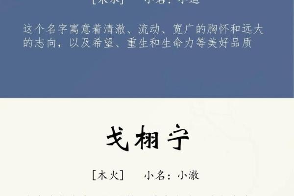2019年6月20号卯时出生的男孩起名时要注意什么姓名