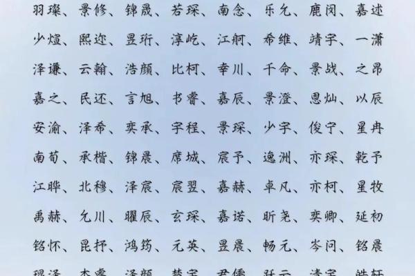 2019年6月20号卯时出生的男孩起名时要注意什么姓名
