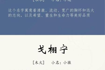 2019年6月20号卯时出生的男孩起名时要注意什么姓名