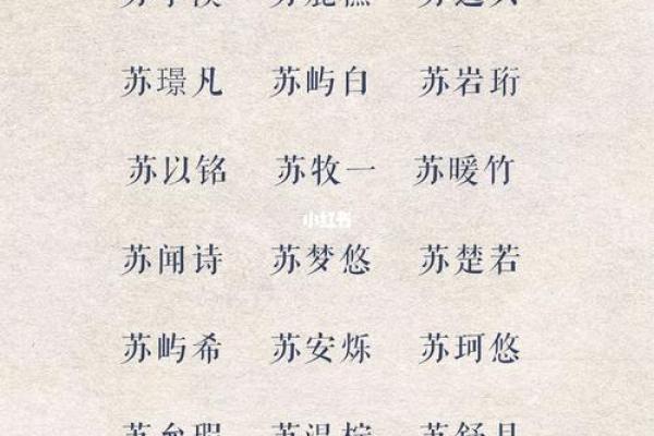 2019年5月8号卯时出生的男孩应该起什么样的名字姓名