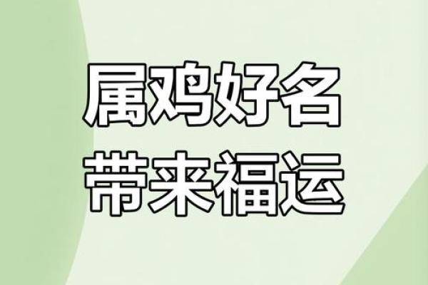 给早上7点出生的属鸡男孩起名适合的字姓名