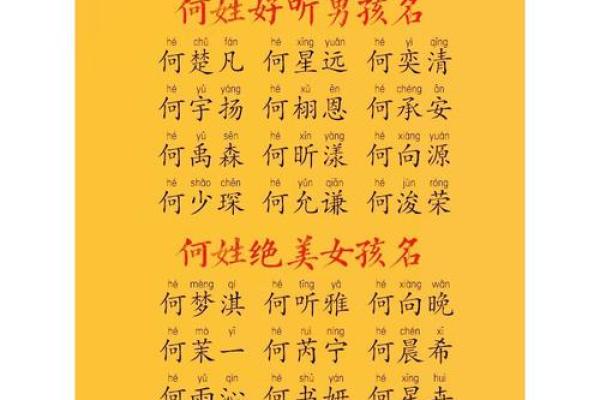 何姓女孩名字大全-何姓女孩起名字大全-何姓名字大全姓名