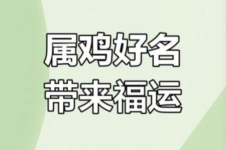 给早上7点出生的属鸡男孩起名适合的字姓名