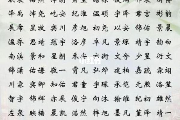 2019年3月26号卯时出生的男孩要怎么起名字姓名
