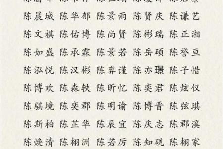 2019年5月28号子时出生的男孩起名时要注意什么姓名