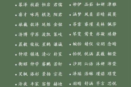 2019年4月25号寅时出生的男孩如何起名姓名