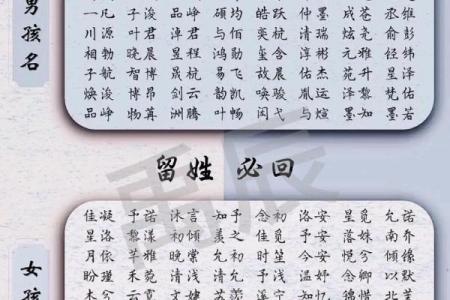 2019年5月4号子时出生的男孩如何起名姓名