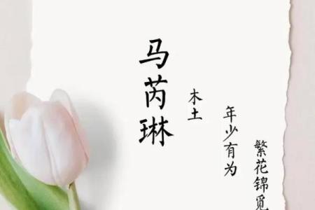 马姓女孩名字大全-马姓女孩起名字大全-马姓名字大全姓名